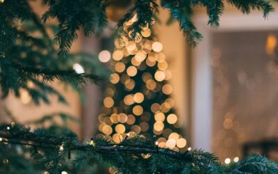 Zin in een avontuur in gezellige kerstsferen? Bezoek dan hét kerstbomen doolhof!